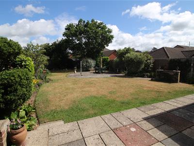 Picture 20